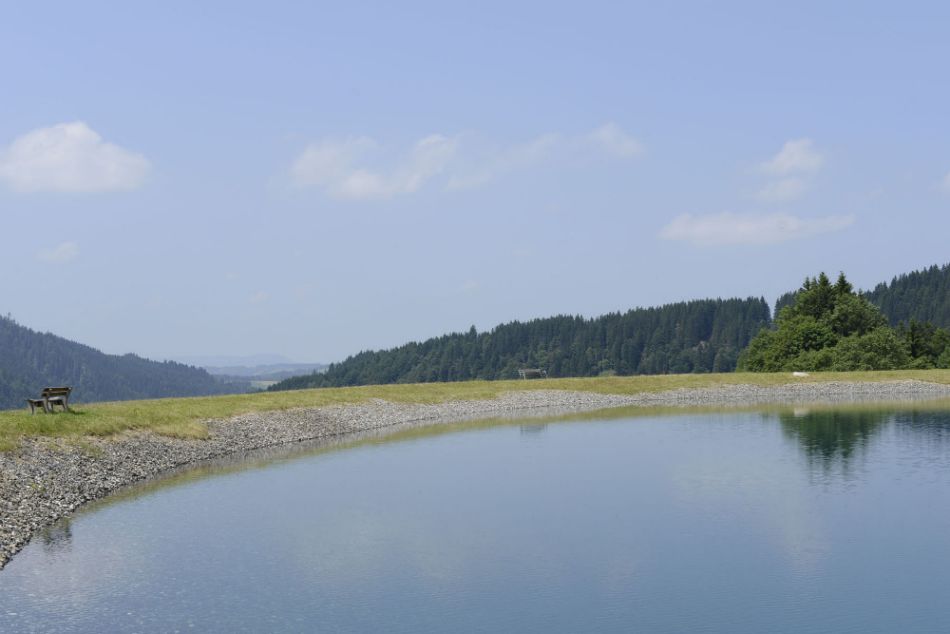 Jungholz